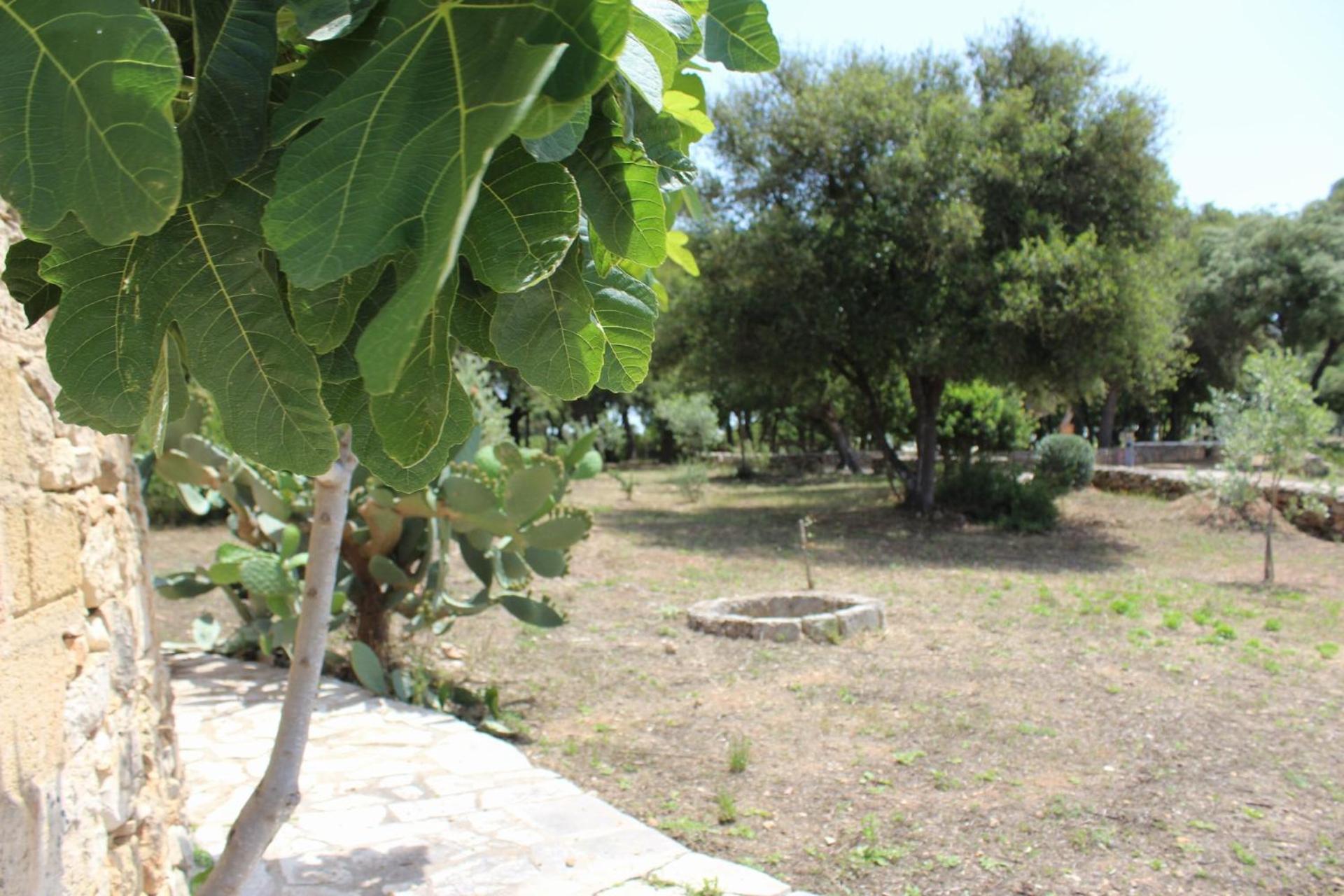 Tenuta Ferraro Gallipoli Exterior foto
